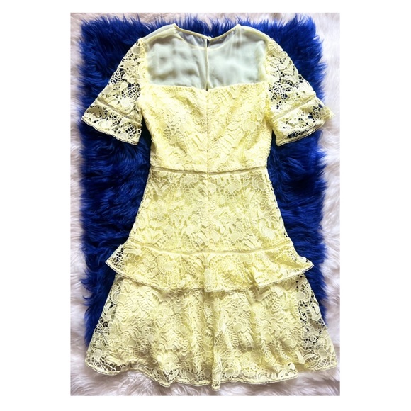 New! FRENCH CONNECTION Lace Ruffle Fit & Flare Mini Dress - Picture 8 of 11